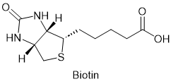 biotin biotin
