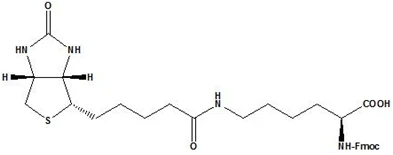 product-393-155 product-393-155